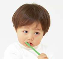 むし歯予防の写真２